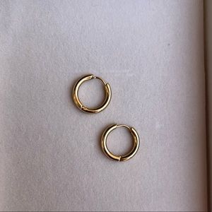 Earrings, stainless steel, huggies